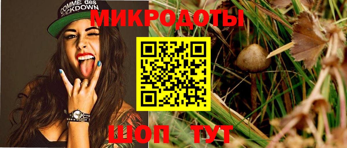 Псилоцибиновые грибы Psilocybine cubensis  Галлюциногенные грибы ЛСД  Краснознаменск  Вход с VPN 